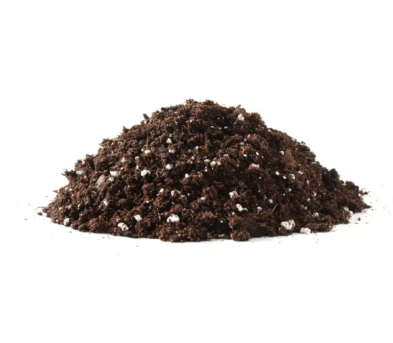 Brown Mandevilla potting soil